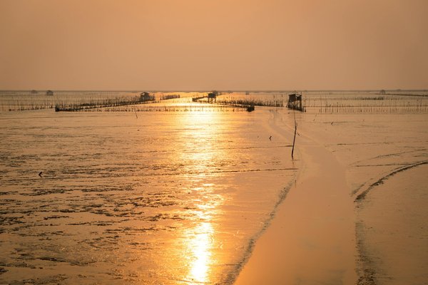 Services de chauffeur haut de gamme en côte d'azur