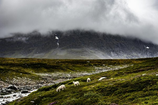 Lechaletdelimaginaire